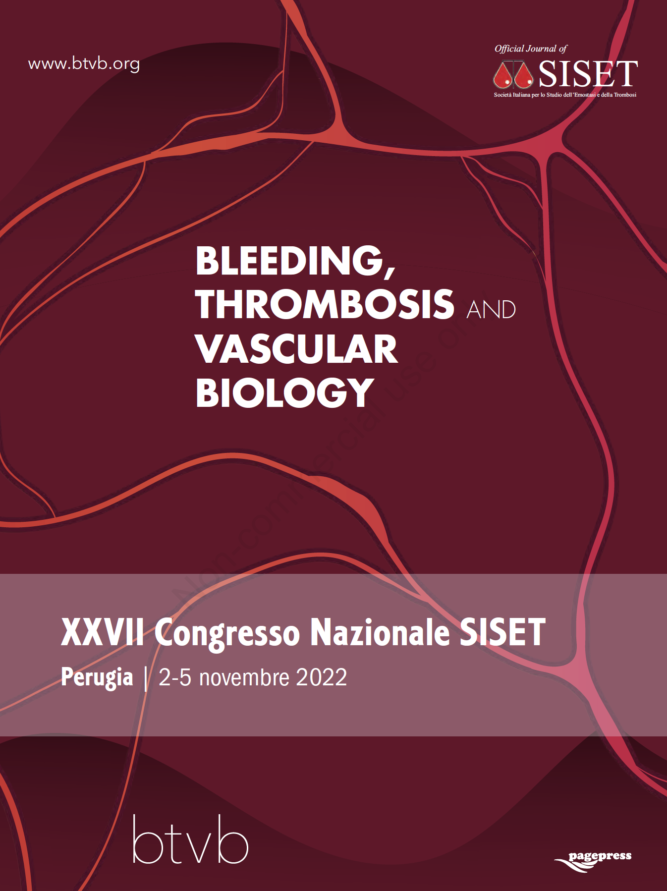					View Vol. 1 No. s1 (2022): Abstract Book of the 27th SISET National Congress 
				
